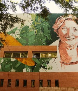 mujer de ciencia-conociendo-valencia-anna-lluch-mural